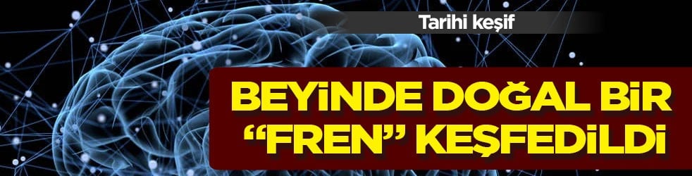 Beyinde doğal bir 'fren' keşfedildi: Diyabet ve sinir sıkışmasına bağlı kronik ağrıya karşı tarihi keşif
