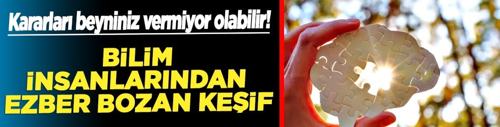 Beyinde tüm kararları yöneten tek bir merkez var mı? Bilim insanlarından ezber bozan keşif!
