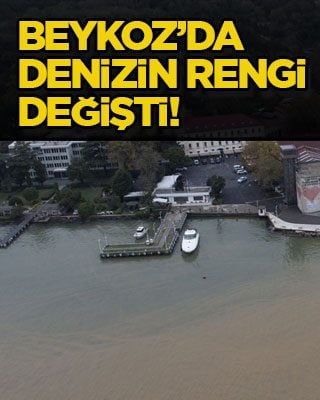 Beykoz’da denizin rengi değişti!