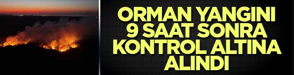 Beykoz’daki orman yangını 9 saat sonra kontrol altına alındı