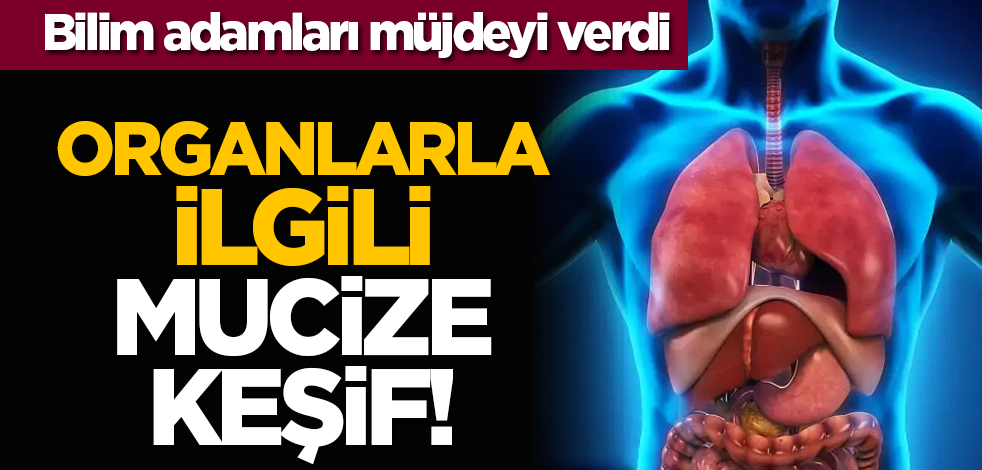 Bilim adamları müjdeyi verdi: Organlarla ilgili mucize keşif!