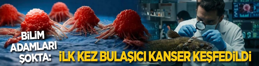 Bilim adamları şokta: İlk kez bulaşıcı kanser keşfedildi