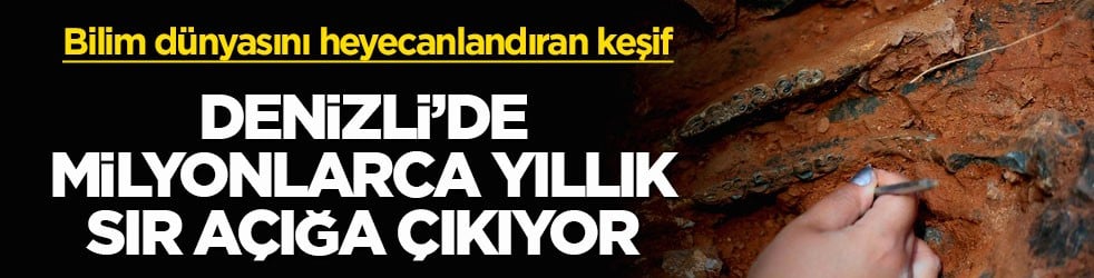 Bilim dünyasını heyecanlandıran keşif! Denizli’de milyonlarca yıllık sır açığa çıkıyor