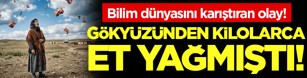 Bilim dünyasını karıştıran olay: Gökyüzünden kilolarca et yağdı!