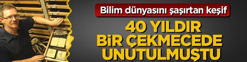 Bilim dünyasını şaşırtan keşif! 40 yıldır bir çekmecede unutulmuştu
