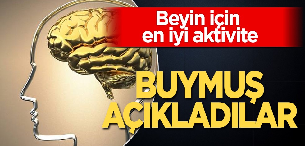 Bilim insanları beyin için en iyi iki aktivite bu diyerek duyurdu! Büyük sürpriz: bağlantı bunda! İlişkin açıklama