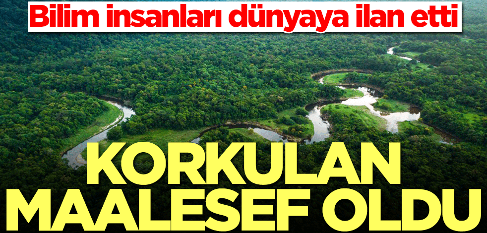 Bilim insanları dünyaya ilan etti! Korkulan maalesef oldu