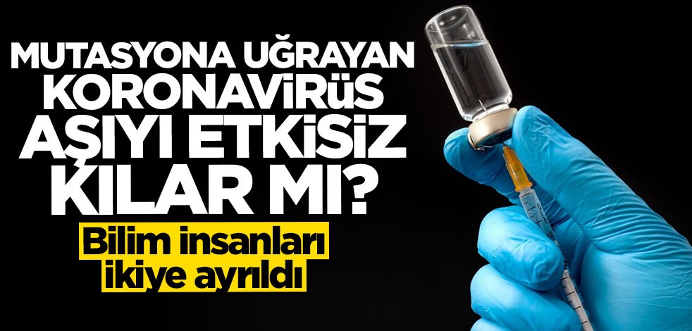 Bilim insanları ikiye bölündü: Mutasyona uğrayan koronavirüs aşıyı etkisiz kılar mı?