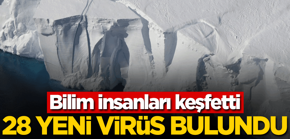 Bilim insanları keşfetti! 28 yeni virüs bulundu