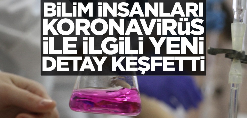 Bilim insanları koronavirüs ile ilgili yeni detay keşfetti