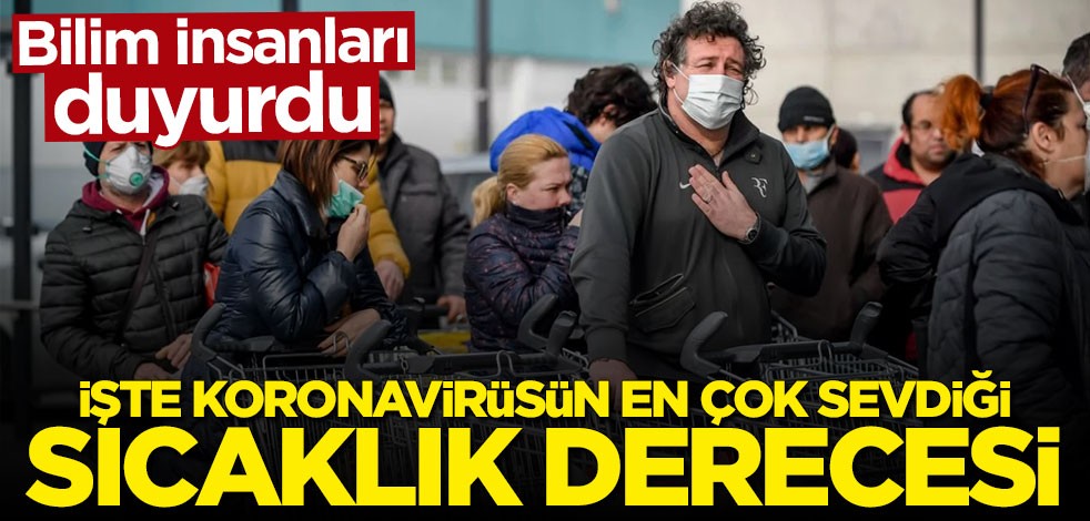 Bilim insanları koronavirüsün en çok sevdiği sıcaklık derecesini açıkladı