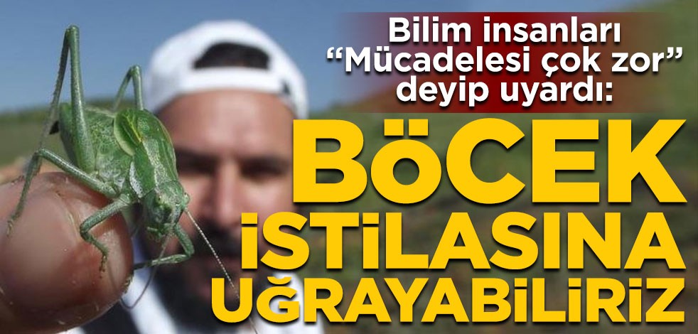Bilim insanları "Mücadelesi çok zor, hazırlıklı olmalıyız" deyip uyardı: Böcek istilasına uğrayabiliriz