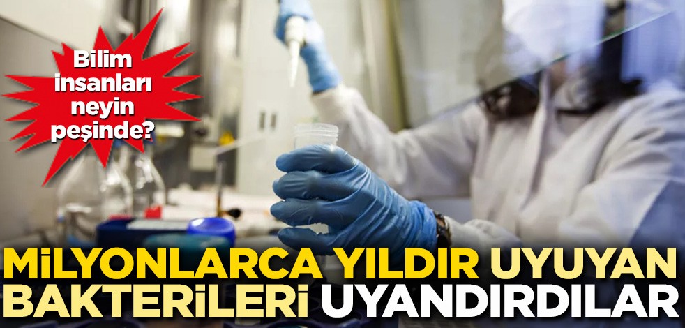 Bilim insanları neyin peşinde: Milyonlarca yıldır uyuyan mikroplar uyandırıldı