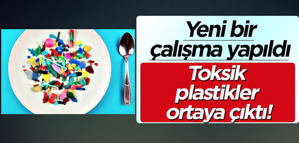 Bilim insanlarından yeni araştırma: İnsan plasentasıda toksik plastikler çıktı! Detayı akılları resmen kurcaladı