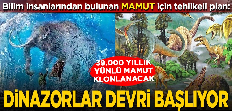 Bilim insanlarından bulunan mamut için tehlikeli plan: 39.000 yıllık yünlü mamut klonlanacak... Dinazorlar devri başlıyor