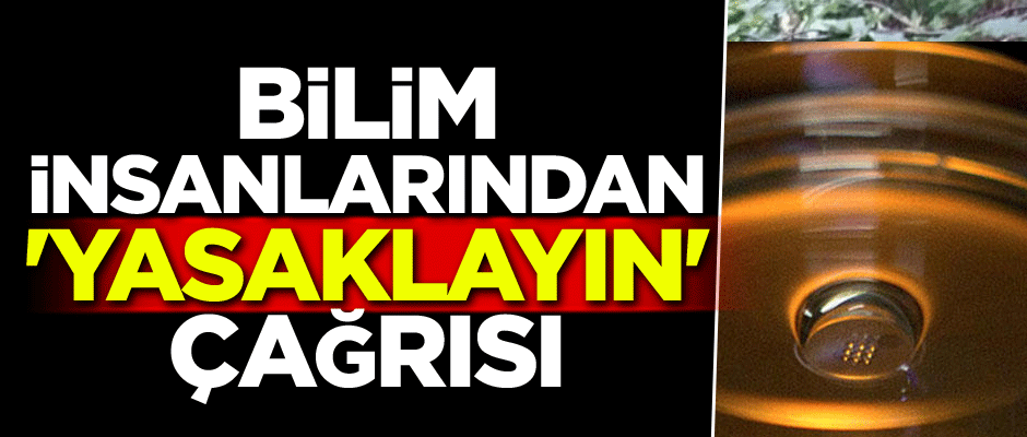 Bilim insanlarından 'yasaklayın' çağrısı