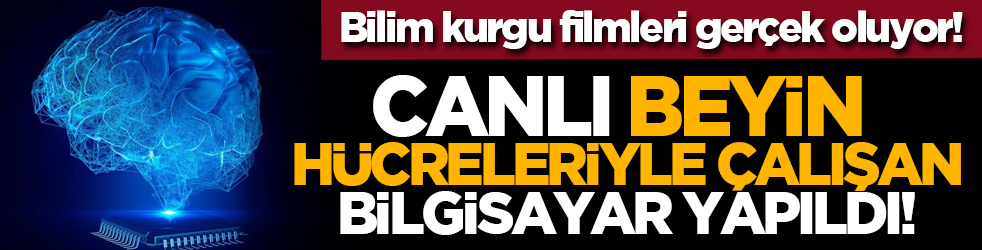 Bilim kurgu filmleri gerçek oluyor! Canlı beyin hücreleriyle çalışan bilgisayar yapıldı!