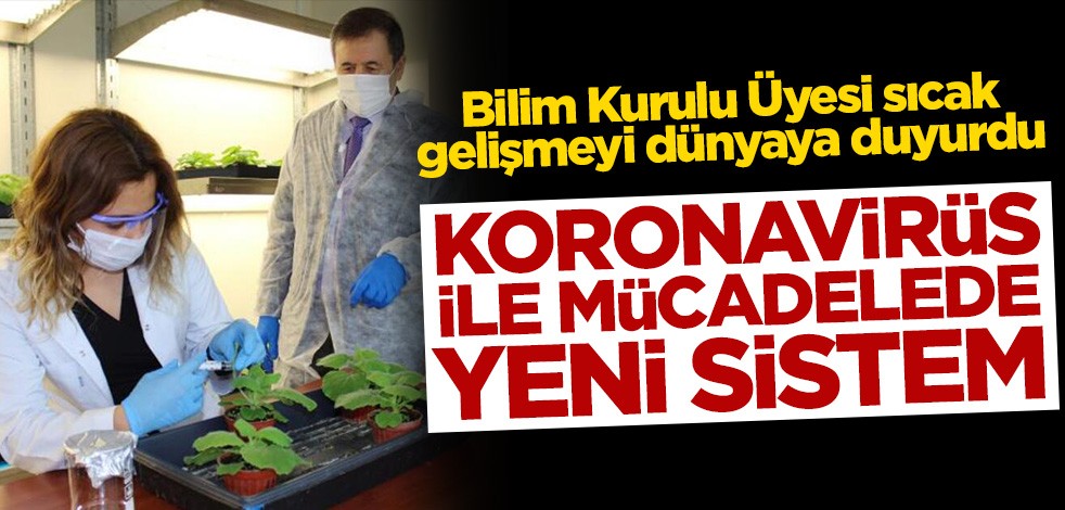 Bilim Kurulu Üyesi sıcak gelişmeyi dünyaya duyurdu! Koronavirüs ile mücadelede yeni sistem