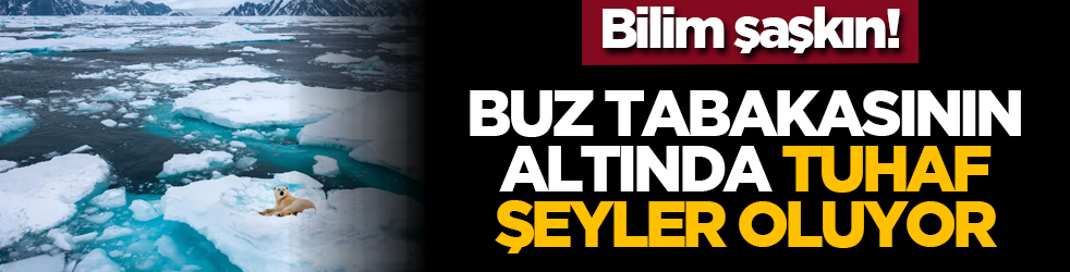 Bilim şaşkın! Buz tabakasının altında tuhaf şeyler oluyor