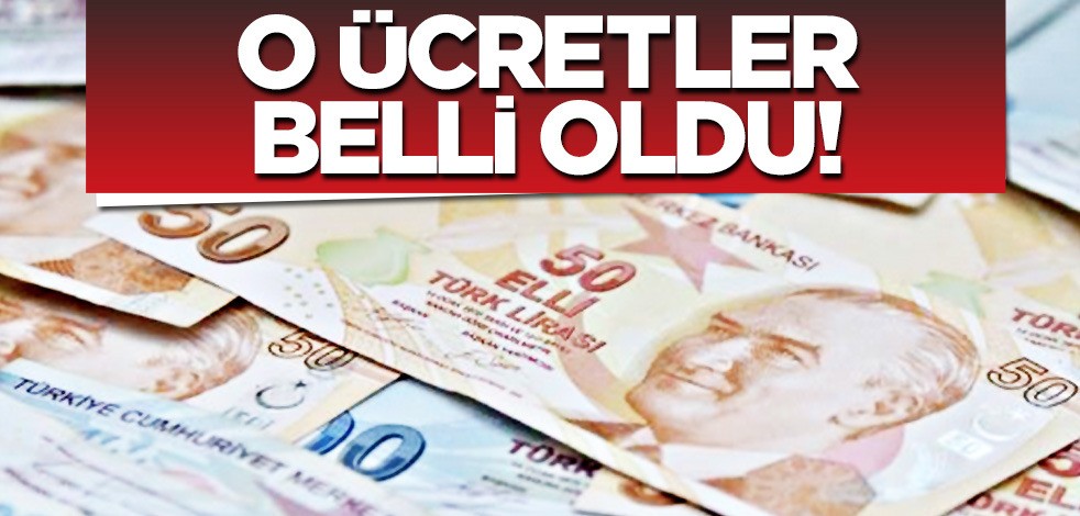 Bilirkişilere ödenecek ücretler: artık miktarda indirim yapılabilecek diyerek paylaştılar! Büyük hamle belli oldu
