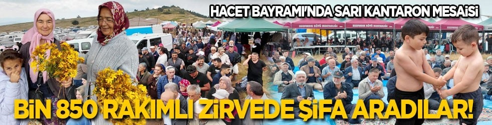 Bin 850 rakımlı zirvede şifa aradılar: Hacet Bayramı'nda sarı kantaron mesaisi