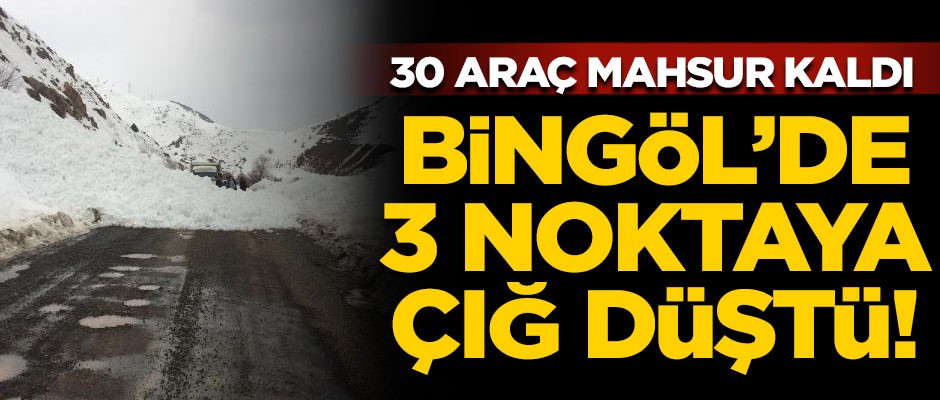 Bingöl'de 3 noktaya çığ düştü! 30 araç yolda kaldı