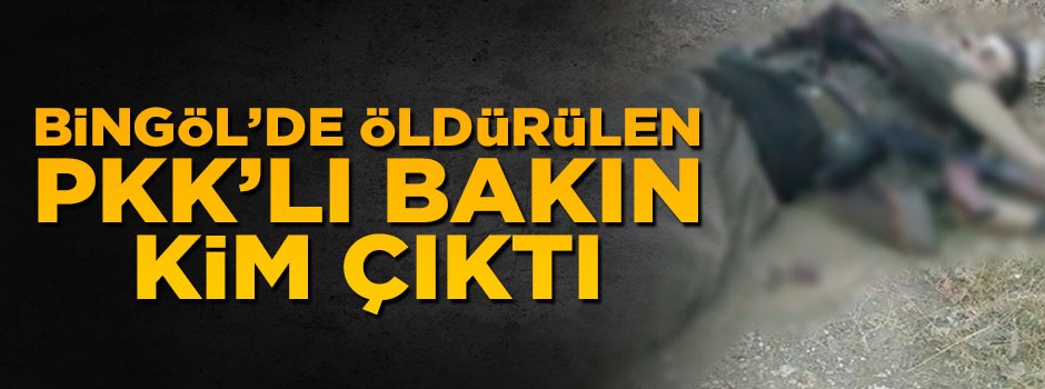 Bingöl'de öldürülen PKK'lı bakın kim çıktı