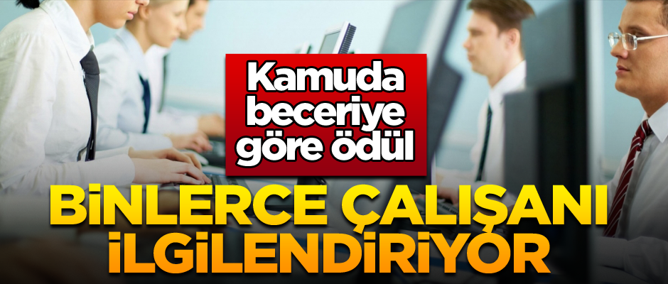 Binlerce çalışanı ilgilendiriyor... Kamuda beceriye göre ödül