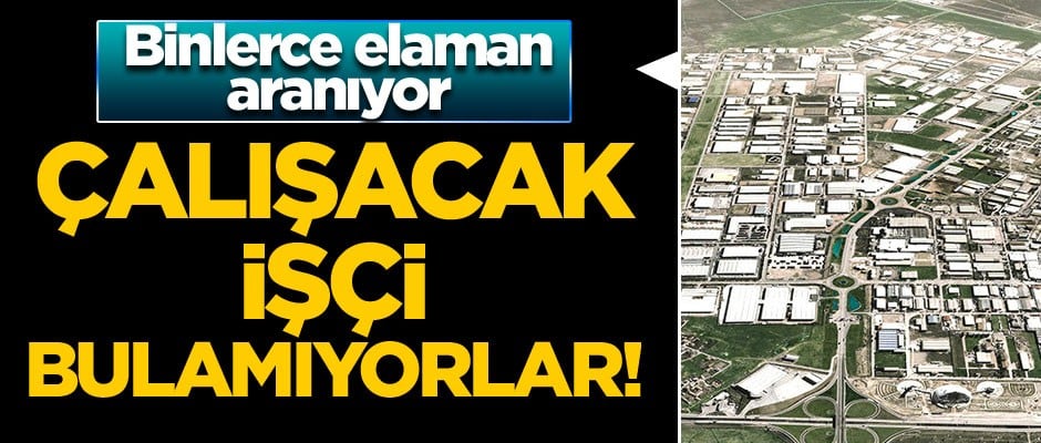 Binlerce elaman aranıyor ama işçi bulamıyorlar!