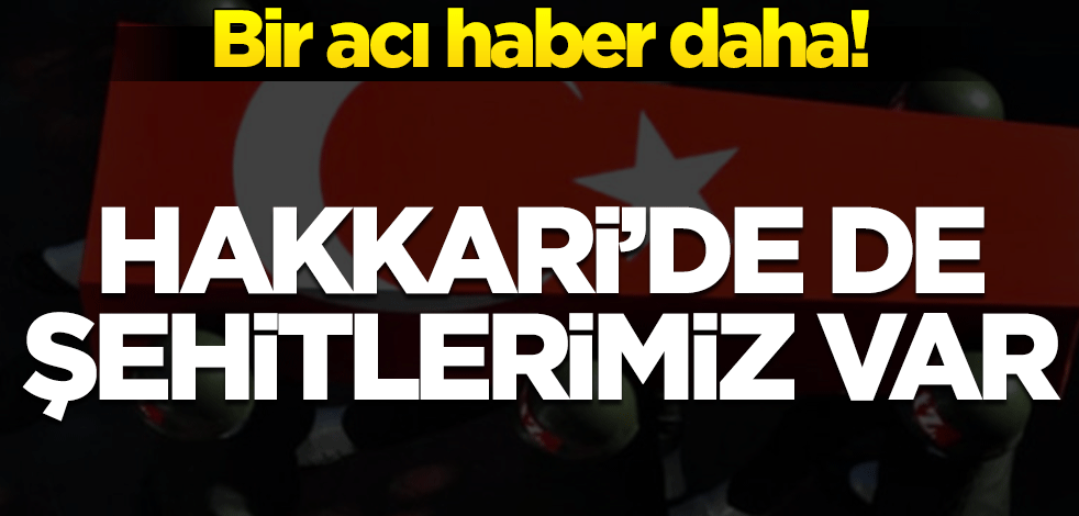 Bir acı haber daha! Hakkari'de de şehitlerimiz var