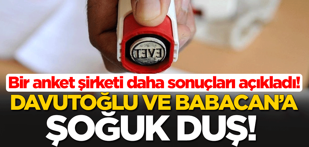 Bir anket şirketi daha sonuçları açıkladı! Ahmet Davutoğlu ve Ali Babacan'a şoğuk duş