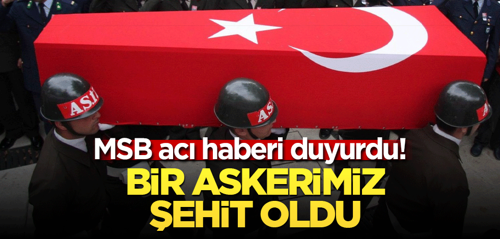 Bir askerimiz şehit oldu