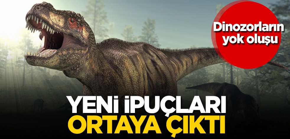 Bir asteroitten daha fazlası ortaya çıktı: Dinozorların yok oluşunda yeni ipuçları! Şaşıracaksınız