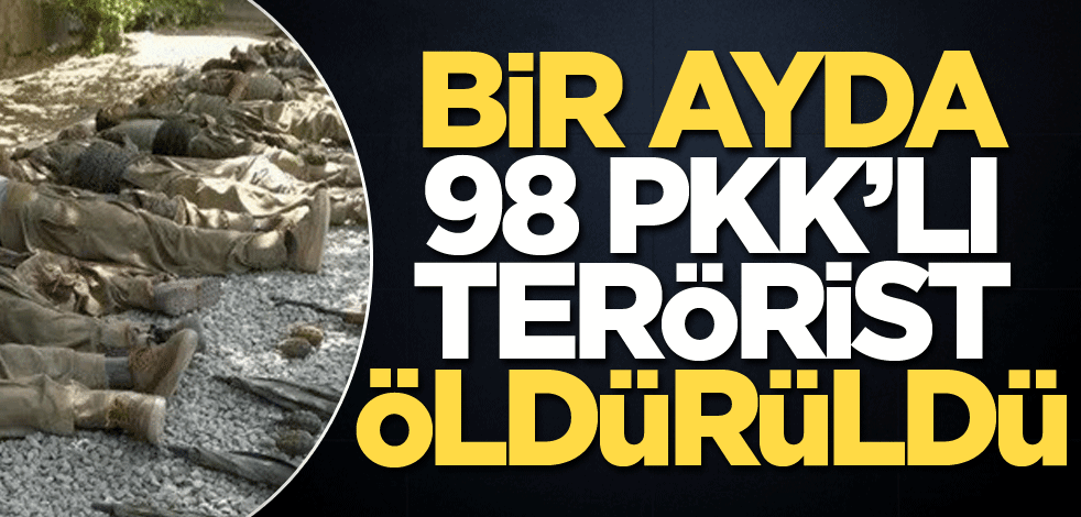 Bir ayda 98 PKK'lı terörist öldürüldü