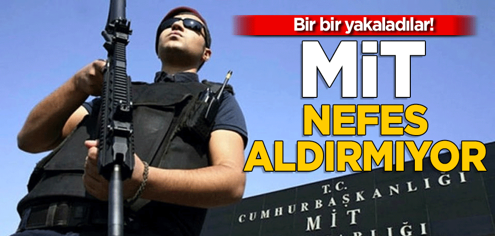 Bir bir yakalandılar! MİT nefes aldırmıyor