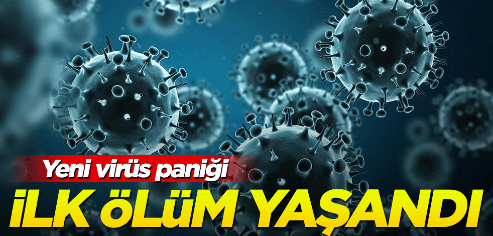 Bir bu eksikti! Hayvandan insana geçen yeni virüs ölüme neden oldu