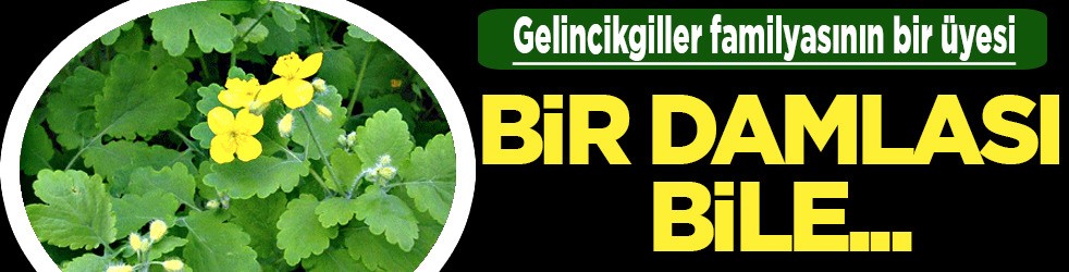 Bir damlası bile göz hastalıklarına çok iyi geliyor: Öyle faydası var ki! Duyan satın alıyor