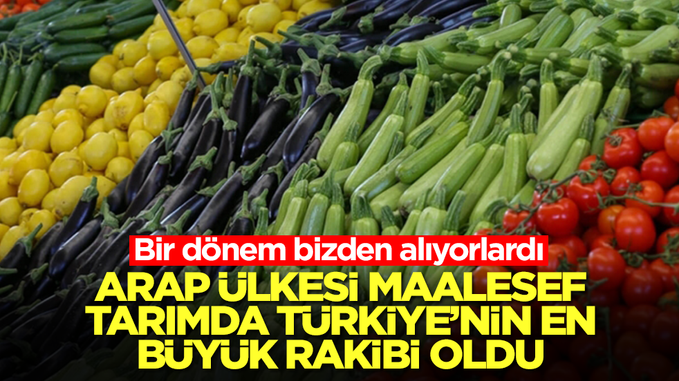 Bir dönem bizden alıyorlardı, Arap ülkesi maalesef Türkiye'nin tarımdaki en büyük rakibi oldu