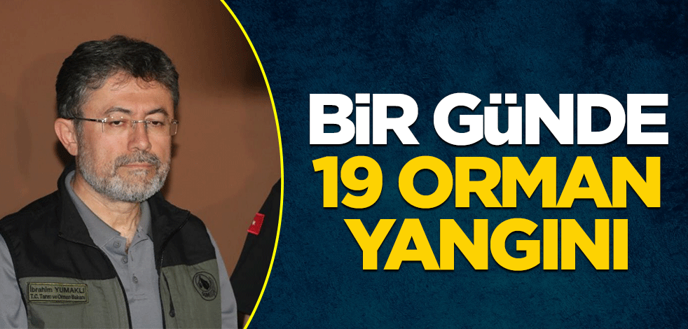 Bir günde 19 orman yangını