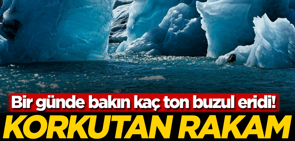 Bir günde bakın kaç ton buzul eridi! Korkutan miktar