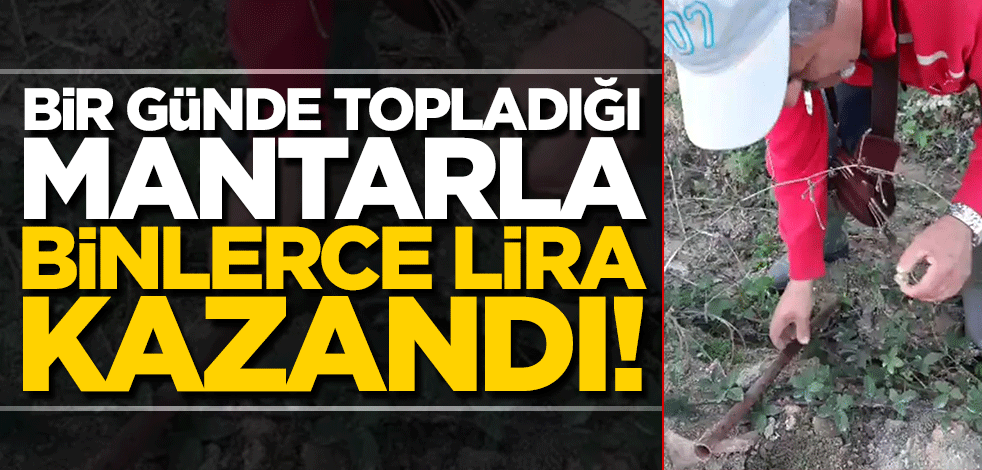 Bir günde mantarla binlerce lira kazandı