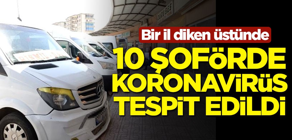 Bir il diken üstünde... 10 şoförde koronavirüs tespit edildi
