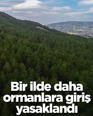 Bir ilde daha ormanlara giriş yasaklandı