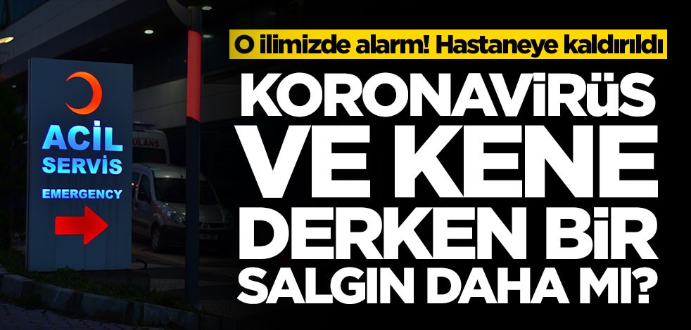 Bir ilimizde alarm verildi! Koronavirüs ve keneden sonra yeni salgın şarbon mu?