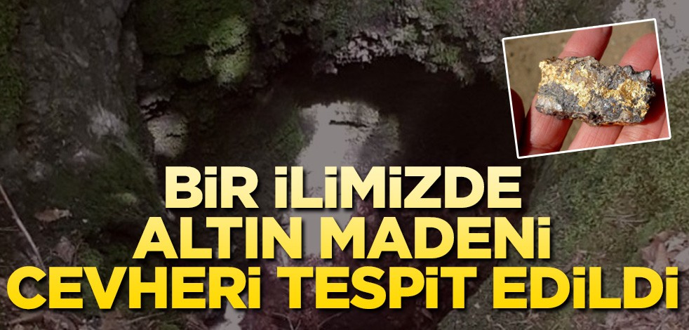Bir ilimizde altın madeni bulundu!