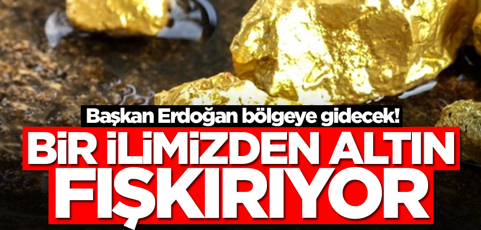 Bir ilimizde dev altın rezervi! Resmen fışkırıyor... Başkan Erdoğan bölgeye gidecek