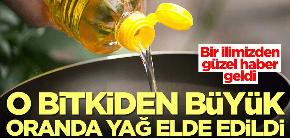 Bir ilimizden müthiş haber! O bitkiden sıvı yağ elde edildi