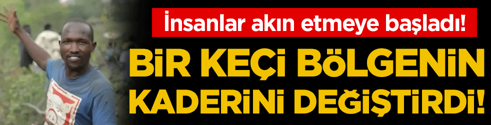 Bir ke&ccedil;i b&ouml;lgenin kaderini değiştirdi: İnsanlar akın etmeye başladı!