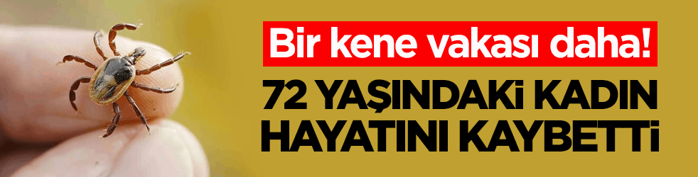 Bir kene vakası daha! 72 yaşındaki kadın hayatını kaybetti 