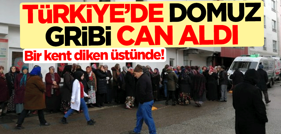 Bir kent diken üstünde! Türkiye'de domuz gribi can aldı